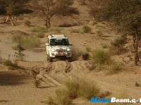 thumbs Scorpio Desert Storm (6) photo